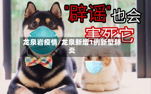 龙泉岩疫情/龙泉新增1例新型肺炎-第2张图片