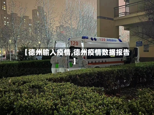 【德州输入疫情,德州疫情数据报告】-第3张图片