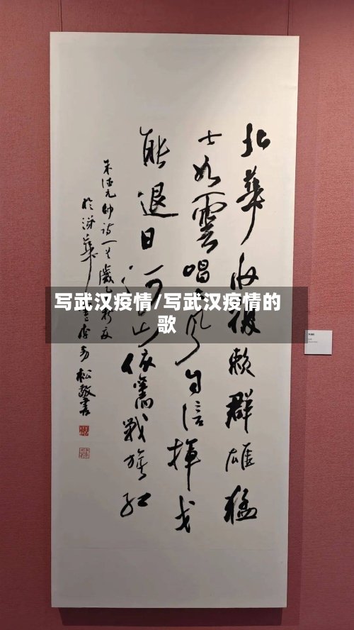 写武汉疫情/写武汉疫情的歌-第3张图片