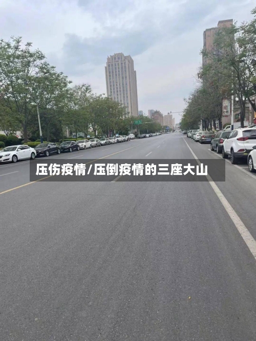 压伤疫情/压倒疫情的三座大山-第3张图片