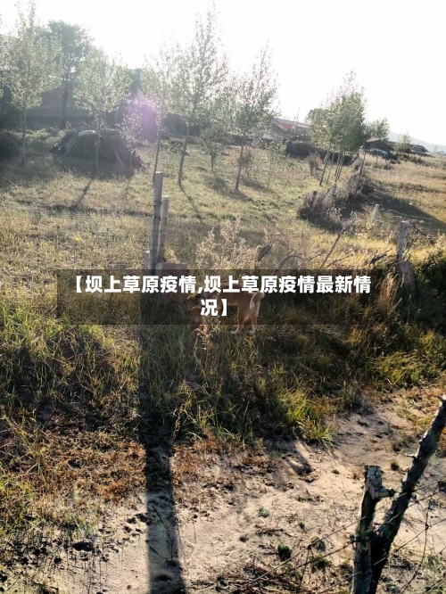【坝上草原疫情,坝上草原疫情最新情况】-第1张图片