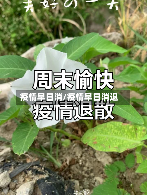 疫情早日消/疫情早日消退-第2张图片
