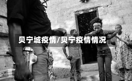 贝宁城疫情/贝宁疫情情况-第2张图片