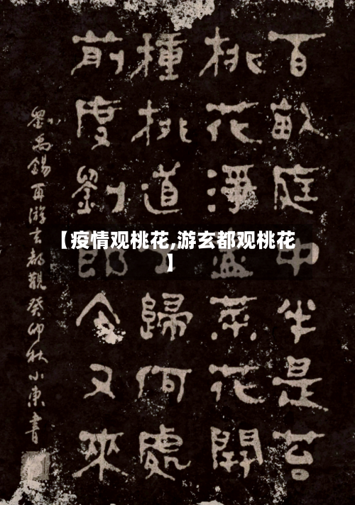 【疫情观桃花,游玄都观桃花】-第2张图片