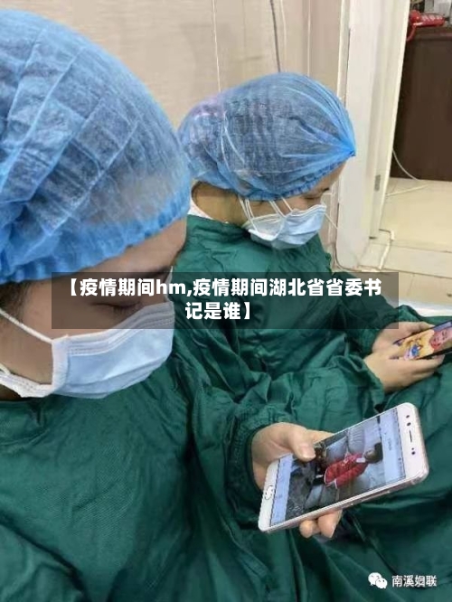 【疫情期间hm,疫情期间湖北省省委书记是谁】-第2张图片