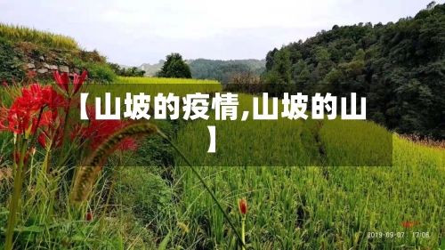 【山坡的疫情,山坡的山】-第1张图片