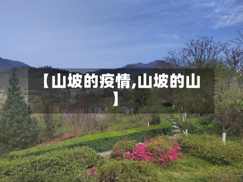 【山坡的疫情,山坡的山】-第3张图片