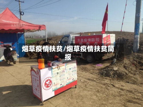 烟草疫情扶贫/烟草疫情扶贫简报-第2张图片