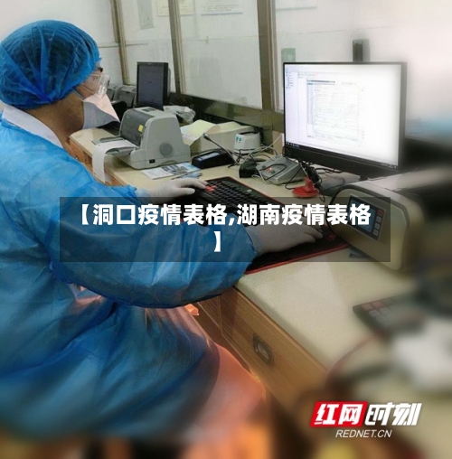 【洞口疫情表格,湖南疫情表格】-第2张图片