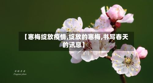 【寒梅绽放疫情,绽放的寒梅,书写春天的讯息】-第2张图片
