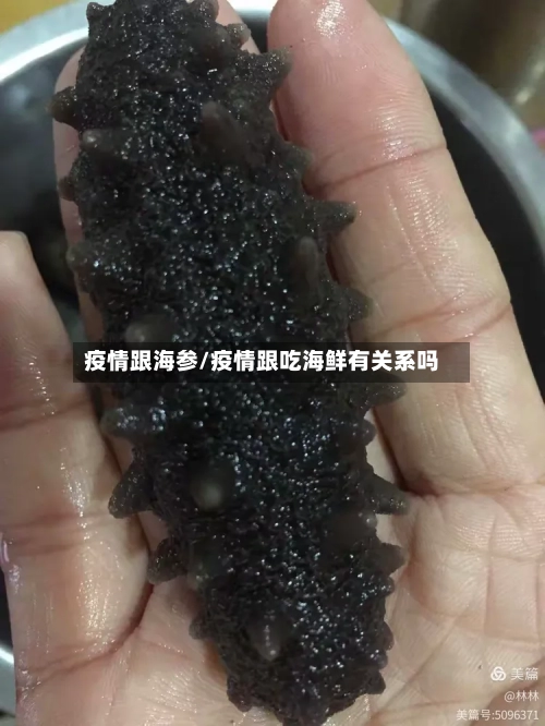 疫情跟海参/疫情跟吃海鲜有关系吗-第2张图片