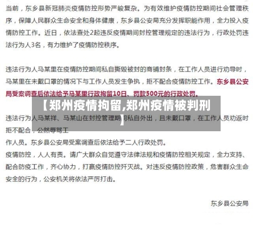 【郑州疫情拘留,郑州疫情被判刑】-第2张图片