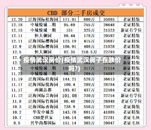 疫情武汉房价(疫情武汉房子在跌价吗?)-第1张图片