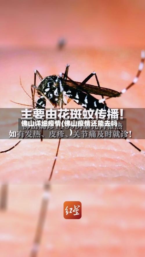 佛山详细疫情(佛山疫情还能去吗)-第2张图片