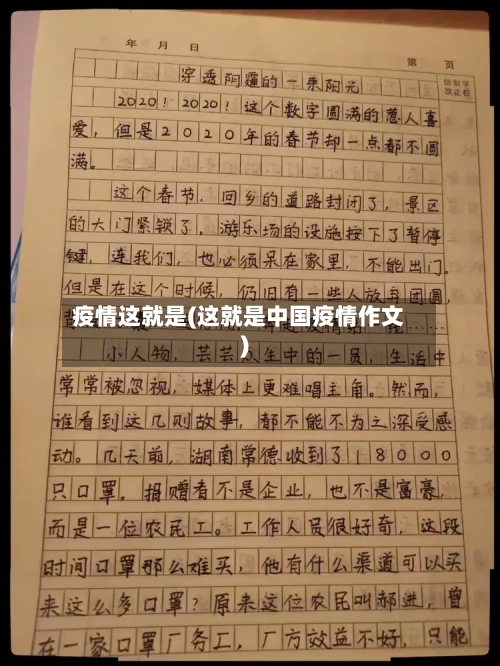 疫情这就是(这就是中国疫情作文)-第2张图片
