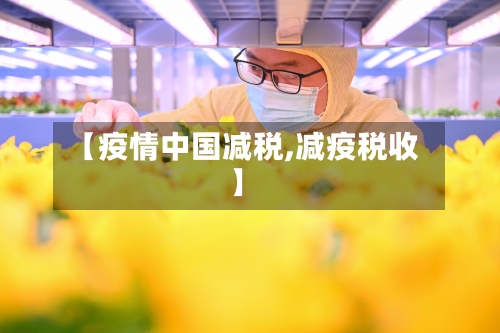 【疫情中国减税,减疫税收】-第1张图片