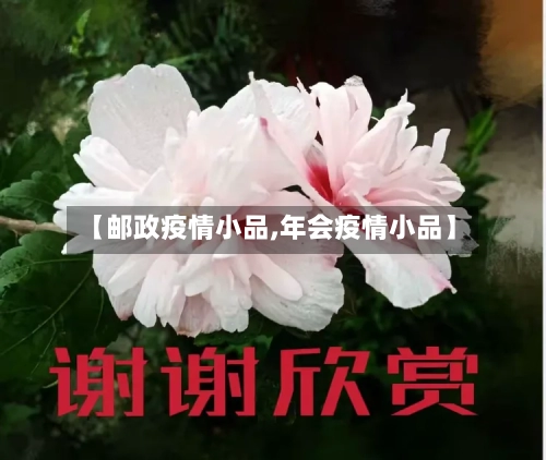 【邮政疫情小品,年会疫情小品】-第3张图片