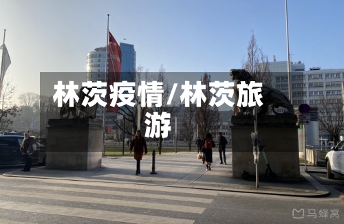 林茨疫情/林茨旅游-第2张图片