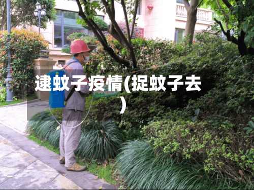 逮蚊子疫情(捉蚊子去)-第1张图片