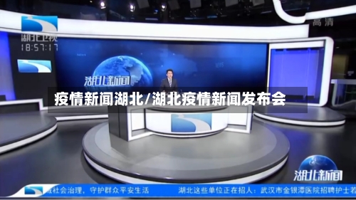 疫情新闻湖北/湖北疫情新闻发布会-第2张图片