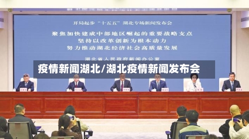 疫情新闻湖北/湖北疫情新闻发布会-第3张图片