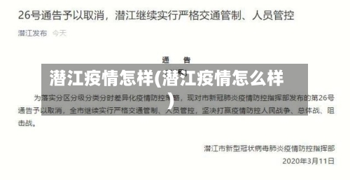 潜江疫情怎样(潜江疫情怎么样)-第2张图片