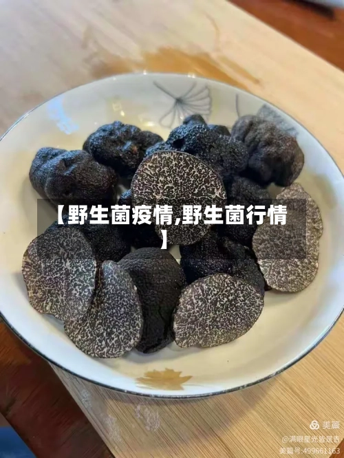 【野生菌疫情,野生菌行情】-第1张图片