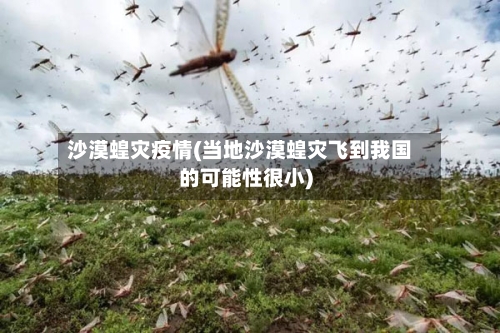 沙漠蝗灾疫情(当地沙漠蝗灾飞到我国的可能性很小)-第2张图片