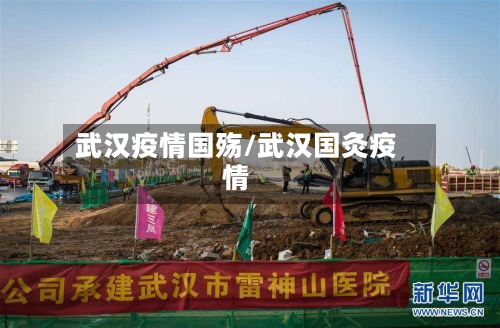 武汉疫情国殇/武汉国灸疫情-第2张图片