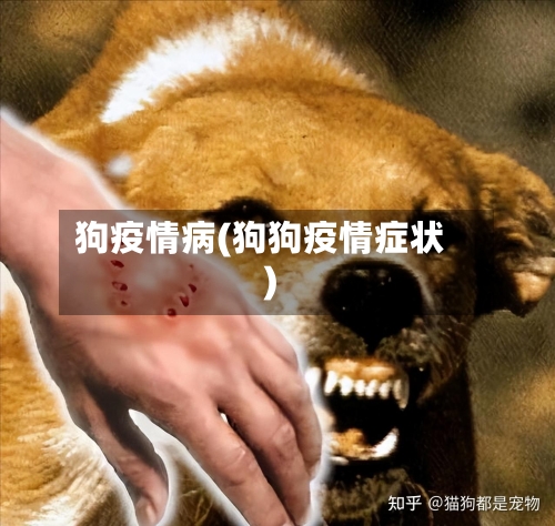 狗疫情病(狗狗疫情症状)-第1张图片