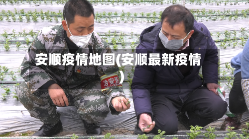 安顺疫情地图(安顺最新疫情)-第1张图片