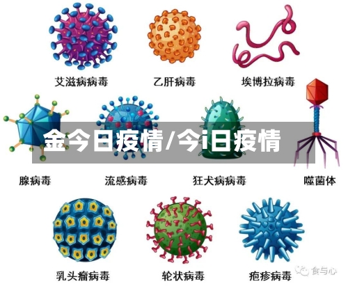 金今日疫情/今i日疫情-第1张图片
