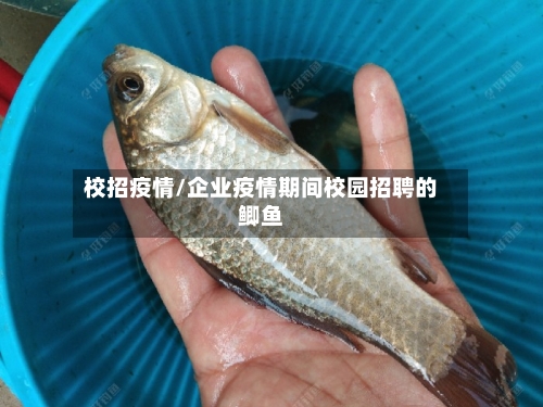 校招疫情/企业疫情期间校园招聘的鲫鱼-第3张图片
