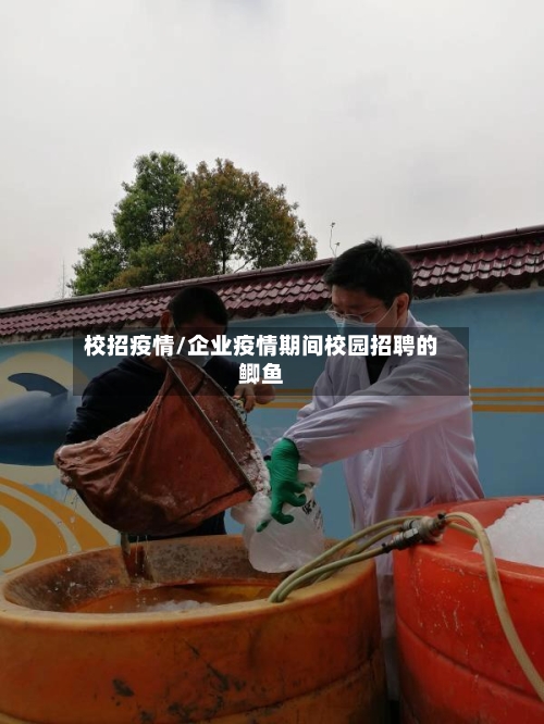 校招疫情/企业疫情期间校园招聘的鲫鱼-第2张图片