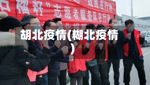 胡北疫情(糊北疫情)-第1张图片