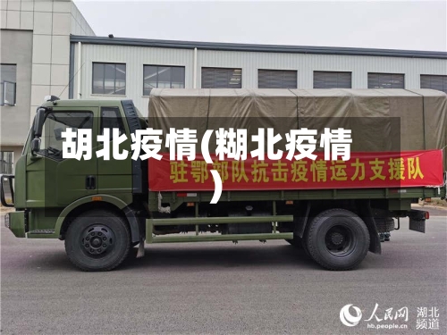胡北疫情(糊北疫情)-第2张图片