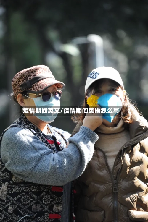 疫情期间英文/疫情期间英语怎么写-第1张图片