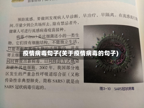 疫情病毒句子(关于疫情病毒的句子)-第1张图片