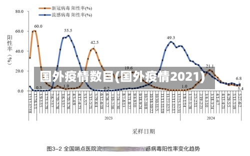 国外疫情数目(国外疫情2021)-第1张图片