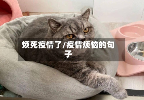 烦死疫情了/疫情烦恼的句子-第3张图片