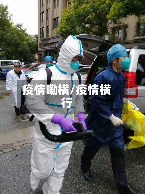 疫情嘞横/疫情横行-第2张图片