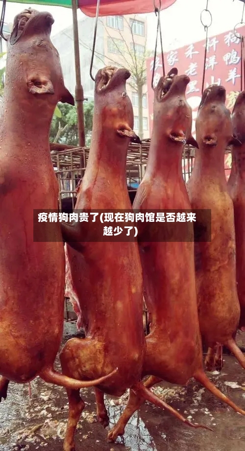 疫情狗肉贵了(现在狗肉馆是否越来越少了)-第1张图片