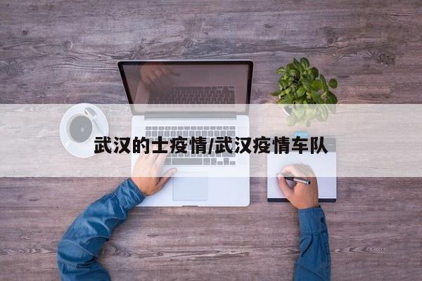 武汉的士疫情/武汉疫情车队
