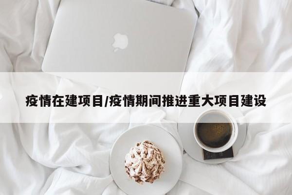 疫情在建项目/疫情期间推进重大项目建设