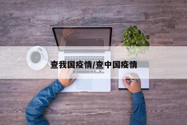 查我国疫情/查中国疫情