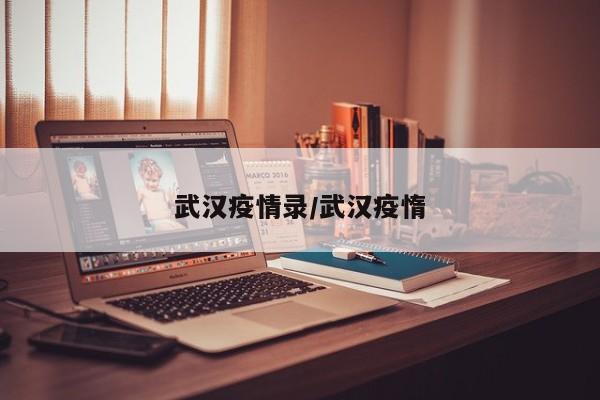 武汉疫情录/武汉疫惰