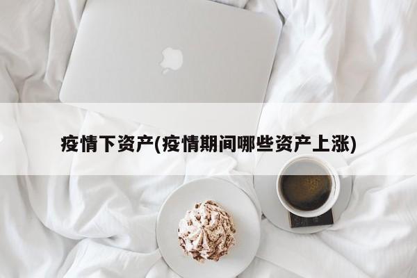 疫情下资产(疫情期间哪些资产上涨)
