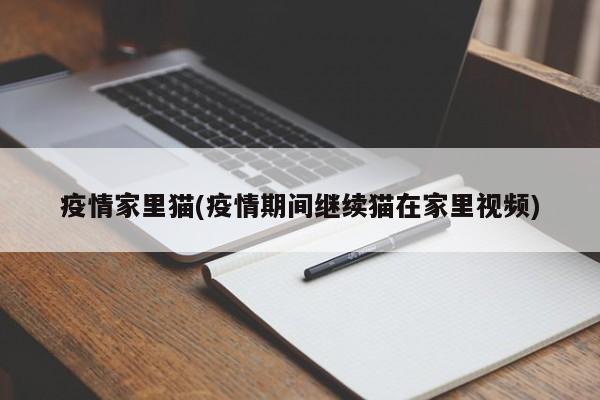 疫情家里猫(疫情期间继续猫在家里视频)